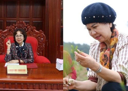 Mẹ ruột "đại gia kim cương" từng dính ồn ào với Hà Hồ bị tạm hoãn xuất cảnh, lý do vì sao?