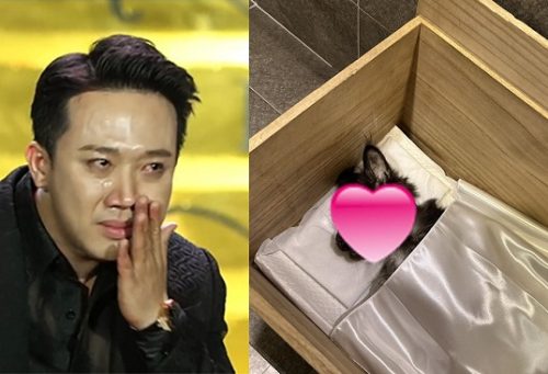 Trấn Thành đau lòng thông báo thú cưng qua đời, tiết lộ nguyên nhân xót xa