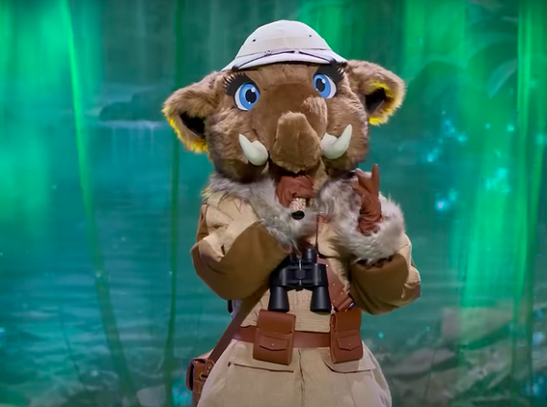 voi bản đôn ca sĩ mặt nạ là ai