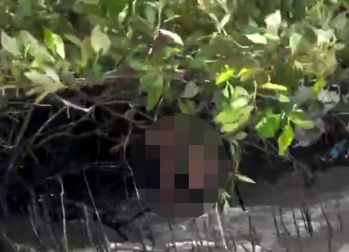 Cà Mau: 3 thợ lặn mất tích sau tiếng nổ lớn, 1 phần cơ thể tìm thấy trên cây