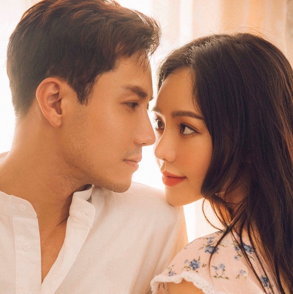 sự nghiệp của thanh sơn