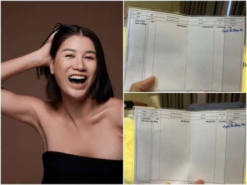 Bị nói ăn chặn tiền từ thiện trốn sang Mỹ, Trang Trần bất ngờ làm điều này