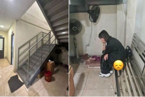 cún cưng của Châu Bùi mất khi bay ra Hà Nội