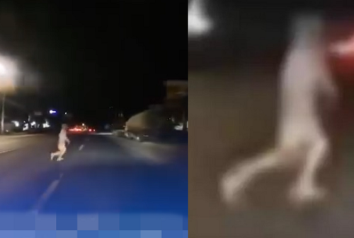 Chàng trai lạnh sống lưng khi phát hiện, thứ mình tông trúng không phải người