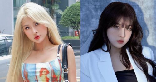 tiktoker Ngô Ngọc Hòa là ai