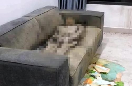 Nhiều tình tiết bất ngờ trong vụ thi thể khô trên ghế sofa ở Hà Nội