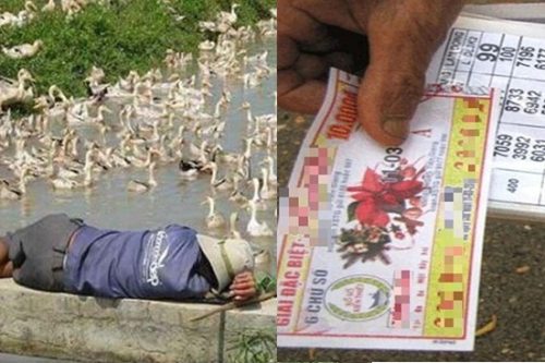 Ông lão bán vé số trúng độc đắc, vài tháng sau về quê chăn vịt vì "cạn túi"