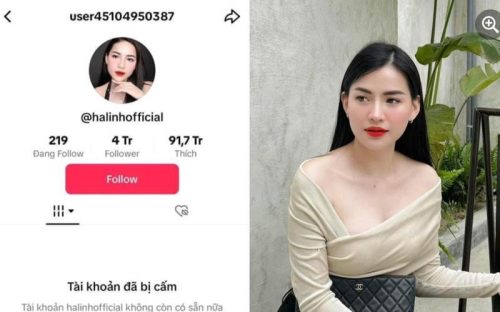 Kênh TikTok 4 triệu follower của Võ Hà Linh "bay màu"khiến CĐM xôn xao