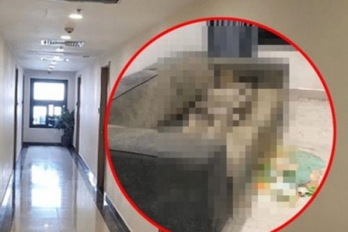 Những điểm nghi vấn vụ thi thể cô gái trên sofa: Người đàn ông bí ẩn và chiếc điện thoại bị tháo sim