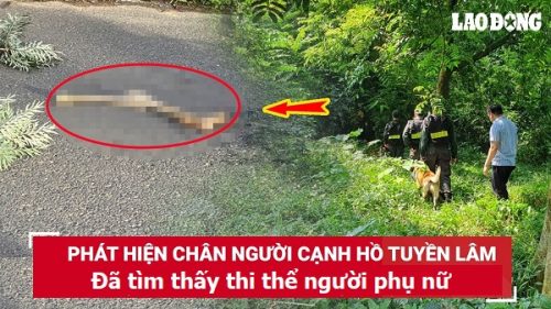 Vụ phát hiện phần chân người ở hồ Tuyền Lâm: Đã tìm thấy thi thể người phụ nữ