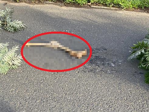 NÓNG: Lâm Đồng phát hiện một phần chân người bị cắt rời khu vực hồ Tuyền Lâm