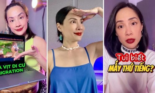 Tiktoker Thảo Ngô là ai