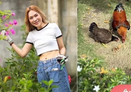 Hé lộ cuộc sống của Mỹ Tâm trong cơ ngơi hàng nghìn m2 ở Củ Chi