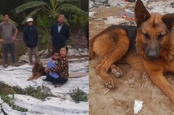 Xôn xao vụ bé trai đi lạc được "cậu vàng" trông cả đêm ở Hưng Yên