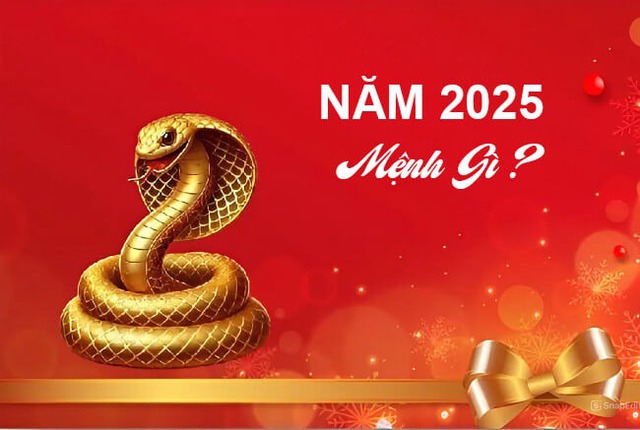 Năm 2025 Mệnh Gì, Hợp Với Tuổi Nào, Đâu Là Màu Sắc Mang Lại May Mắn? Năm 2025 Mệnh Gì, Hợp Với Tuổi Nào, Đâu Là Màu Sắc Mang Lại May Mắn?
