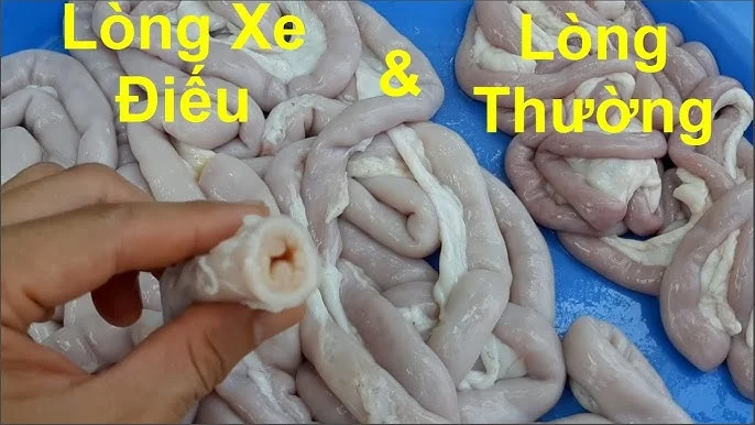 Vì sao lòng se điếu hiếm và đắt đỏ? Vì sao lòng se điếu hiếm và đắt đỏ?