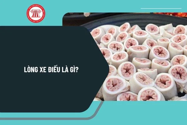 Lòng xe điếu là gì? Lòng xe điếu là gì?