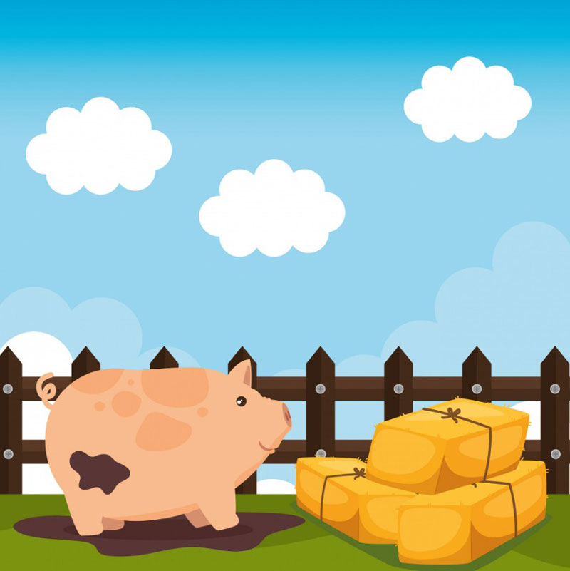 Tuổi Hợi - Tài lộc ghé cửa, tình yêu êm như bản nhạc chậm